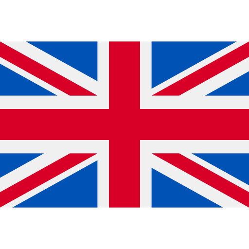 Selected language flag